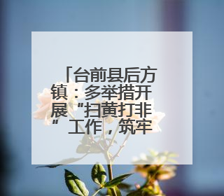 台前县后方镇：多举措开展“扫黄打非”工作，筑牢文化安全防线
